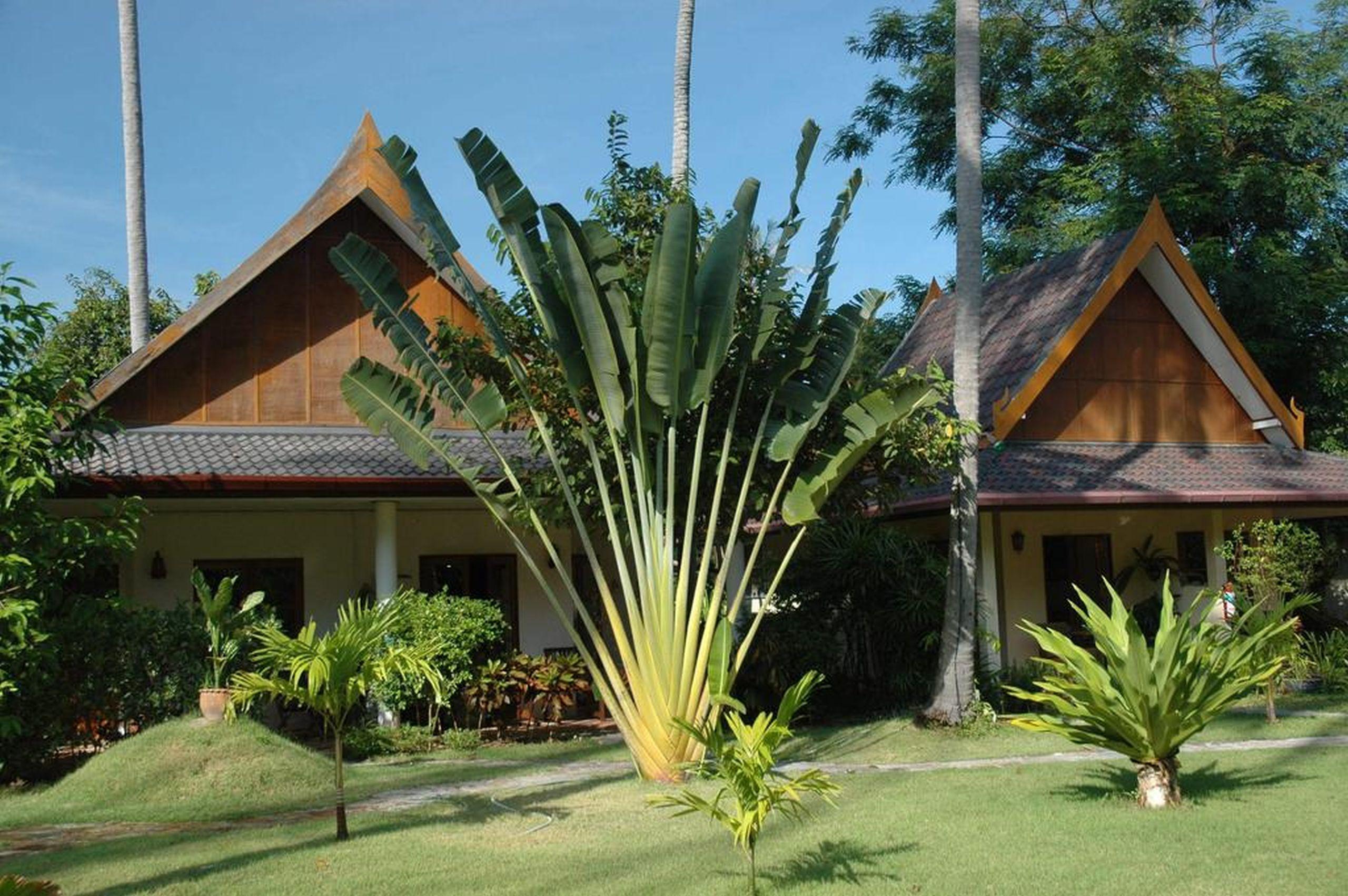 Palm Garden Resort Rawai Bagian luar foto