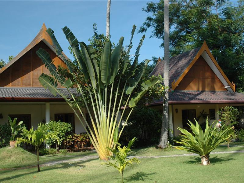 Palm Garden Resort Rawai Bagian luar foto